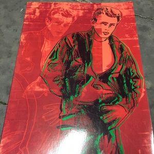 JAMES DEAN: American Icon Book - NEW Condition!